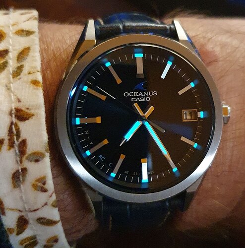 photo_2025-11-11_19-25-36