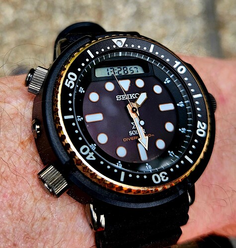 Seiko Arnie