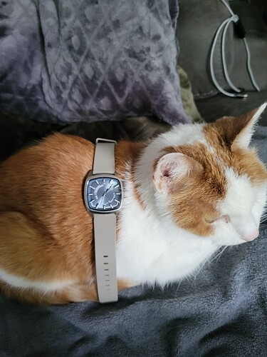 17586256454725395945362403779973