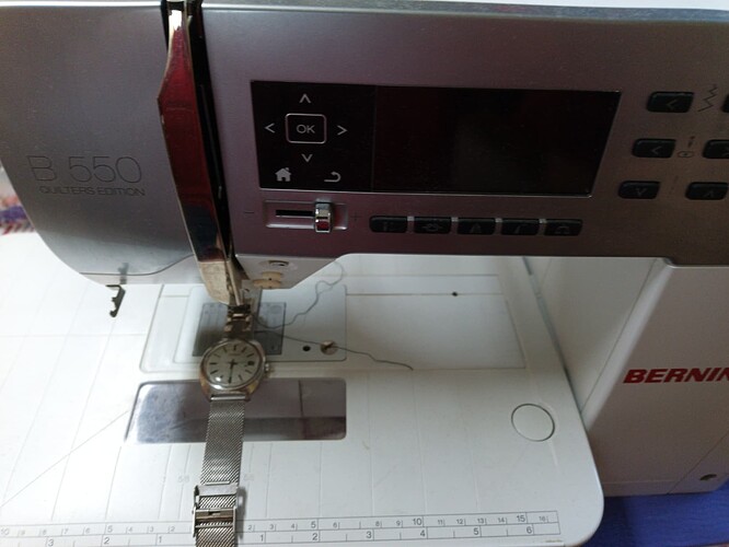 IMG_20251117_153158_516