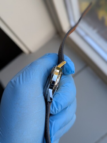 PXL_20251105_130446367.PORTRAIT