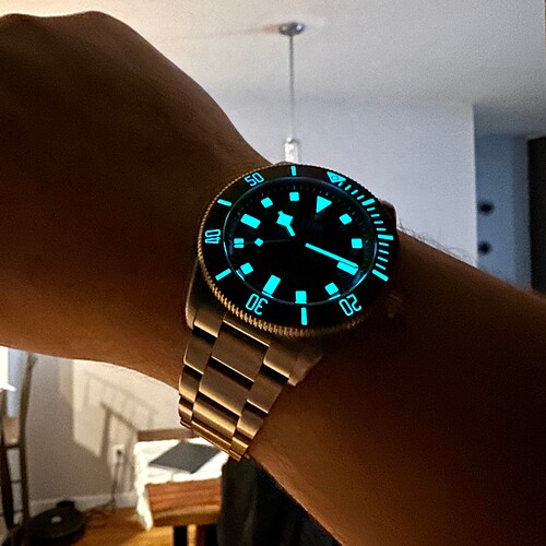 tudor-on-this-episode-of-lume-wars-pelagos-39mm-v0-1exa7zwy7iea1