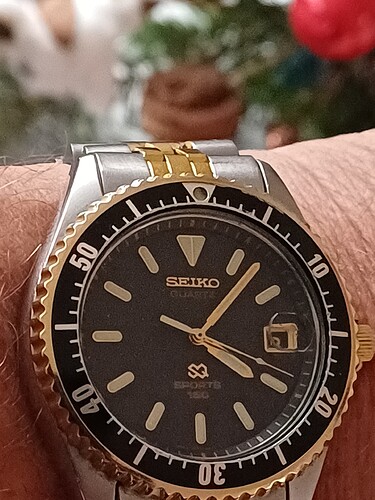 17660703456424974740216459396317