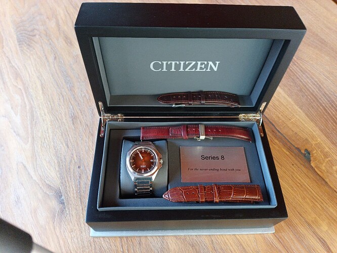 citizen NB6011-11W