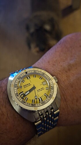 1774035746944659184721795721435