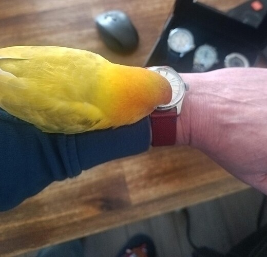 signal-2026-02-04-114840_004