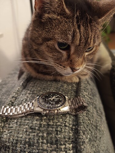 IMG_20251120_215238999