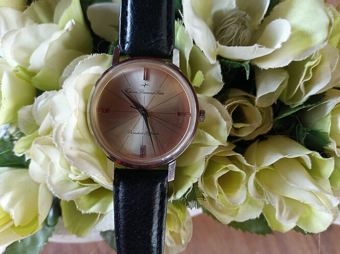 IMG_20260304_102842_261