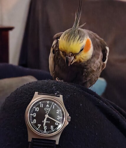 IMG_20260202_181902105