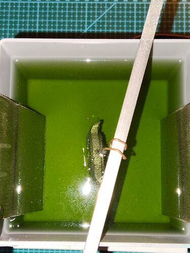 IMG20251204214313   1