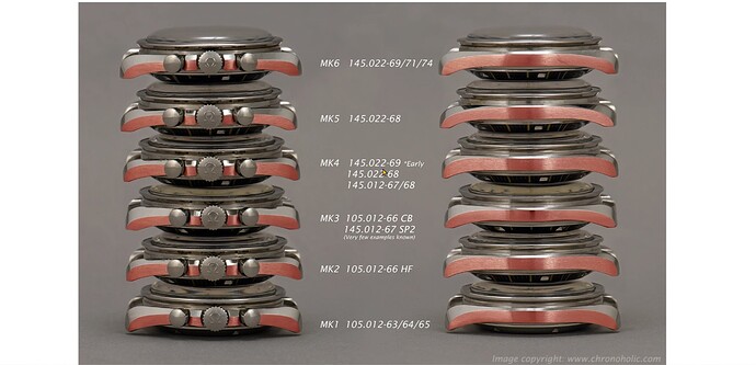 copyright chronoholic