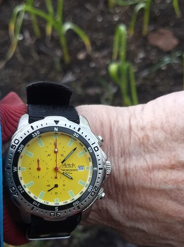 IMG_20260119_160655398~2