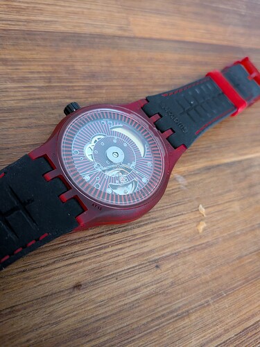 PXL_20260314_144509068.MACRO_FOCUS