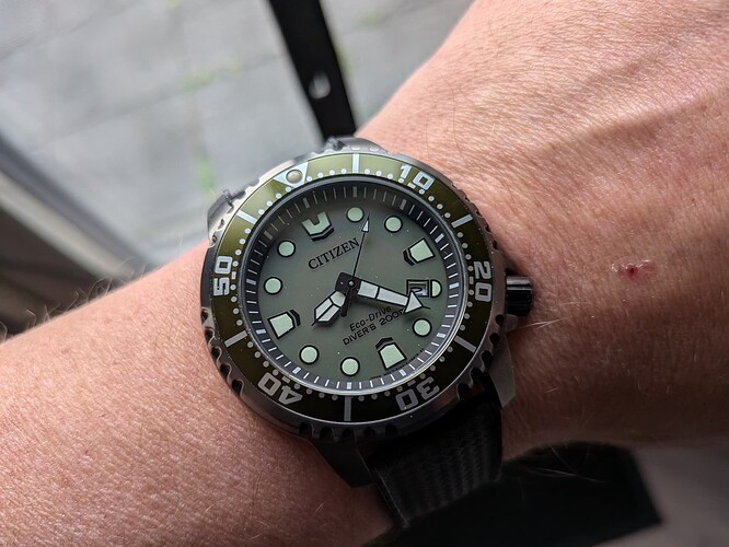 PXL_20251102_072310258.MACRO_FOCUS