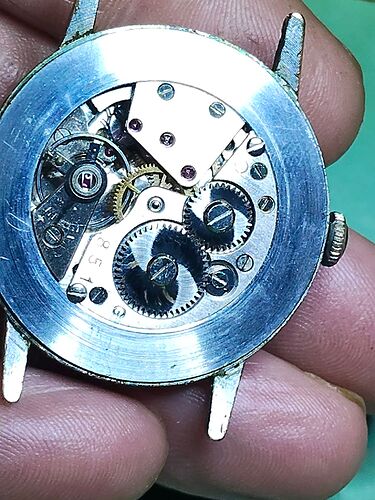 IMG20260131183554   3