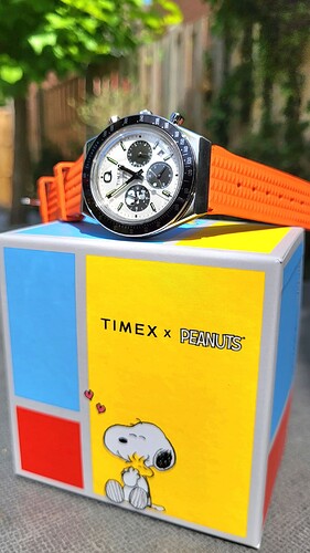 20250702_125444_resized