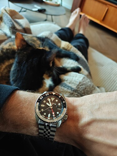 17614689236205602530930397341000