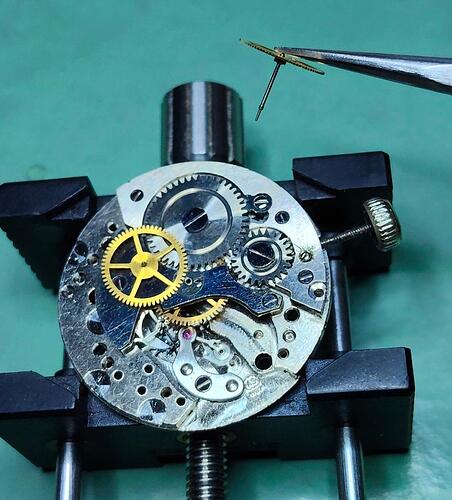 IMG20260408193248  1