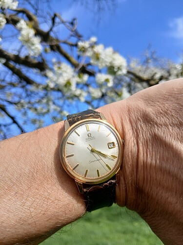 17754852233284632097131209169674