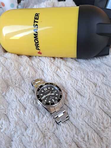 WhatsApp Image 2026-03-03 at 16.19.29 (1)