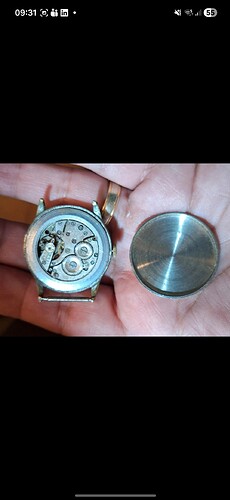 Screenshot_20260331_093122_Vinted