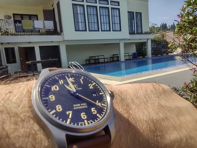 17704847921833558828638686731146