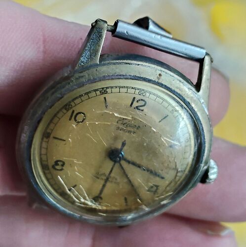 Eiger sport versleten kast   1