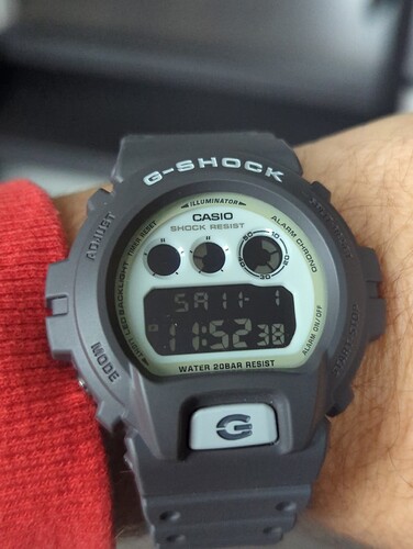 17619943673012008455952651896606