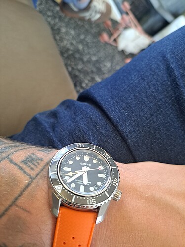 17761810003943077244324723469553