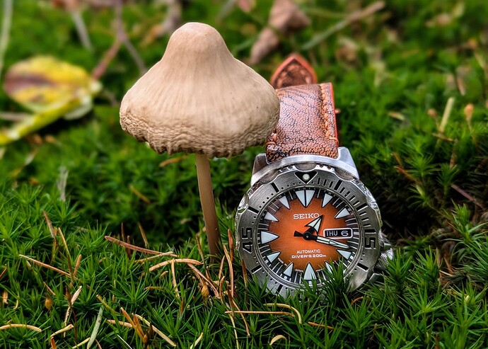 PXL_20251106_122152769.PORTRAIT~3