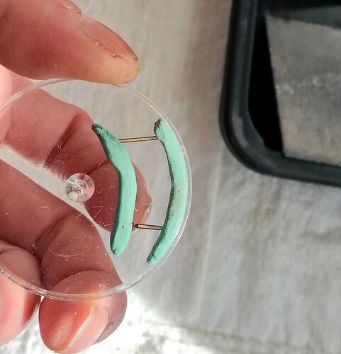 IMG20260314150702   2