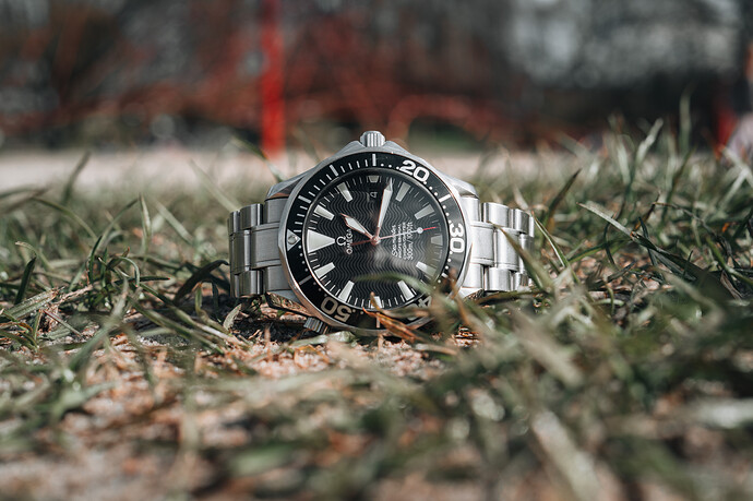 jack tommy plantsoen-2