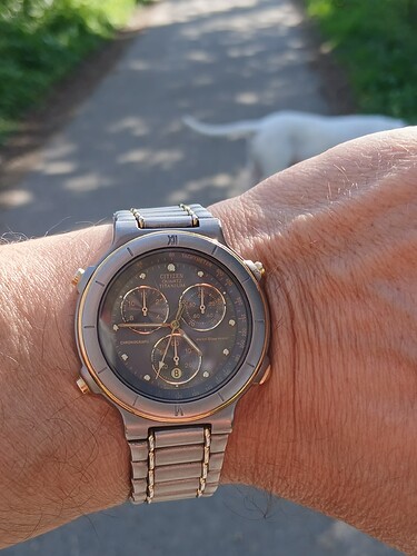 17756594326336035748765132229125