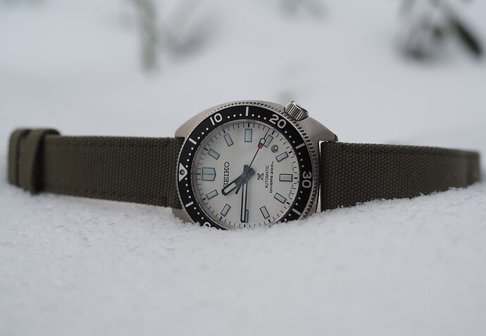 Seiko Slim Turtle SPB313 (24)