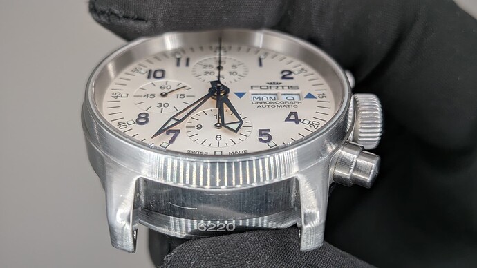 PXL_20260212_194920854.MACRO_FOCUS