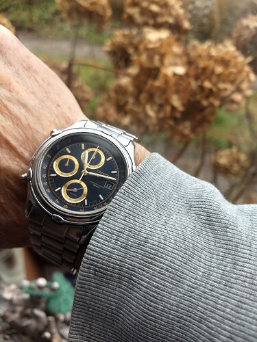 IMG_20260217_111327656