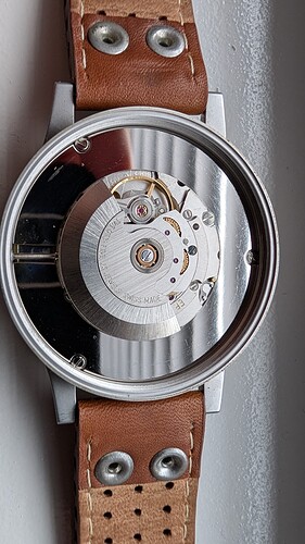 PXL_20260220_121922242.MP