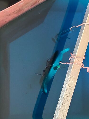 IMG20260303153001  2