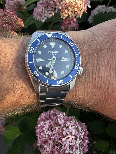 IMG_7049