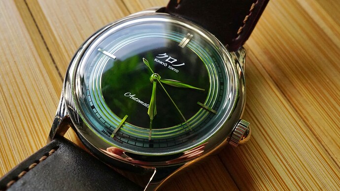 2248A467-543D-450F-8F4B-A911A69EA512_1_201_a