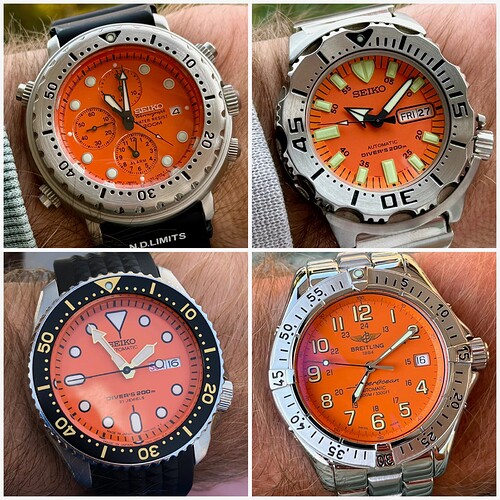 collage_export_904C83CD-EFEA-43EB-8D56-B1183F3BF5E4