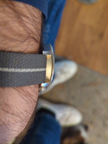 17618373603801219428212650070769