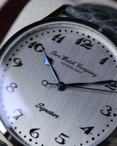 Silver Macro dial