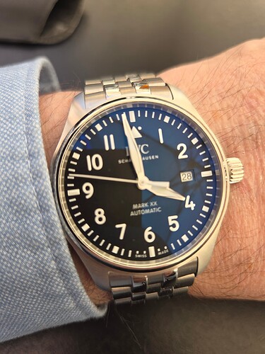 17773847198147922668256501663365