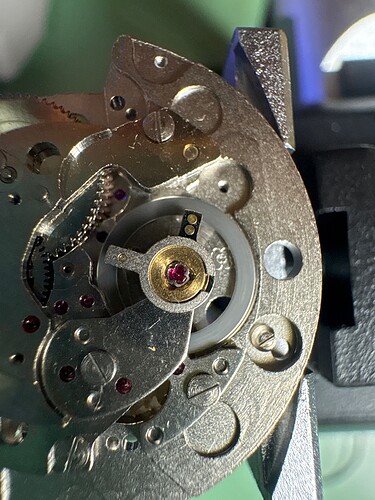 IMG_9466