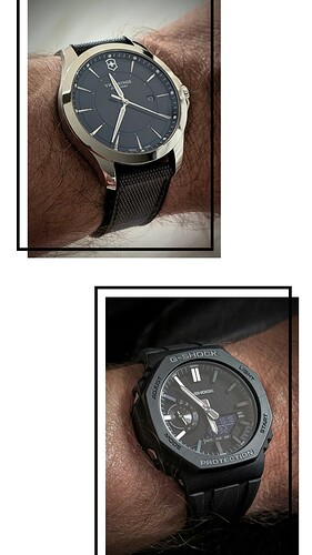 20261010_202258-COLLAGE