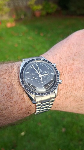 17624373706963387024465173529525