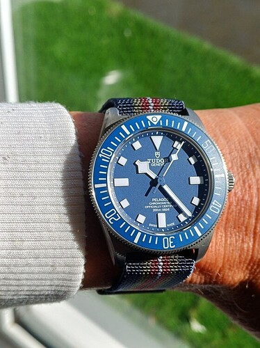 Tudor MN