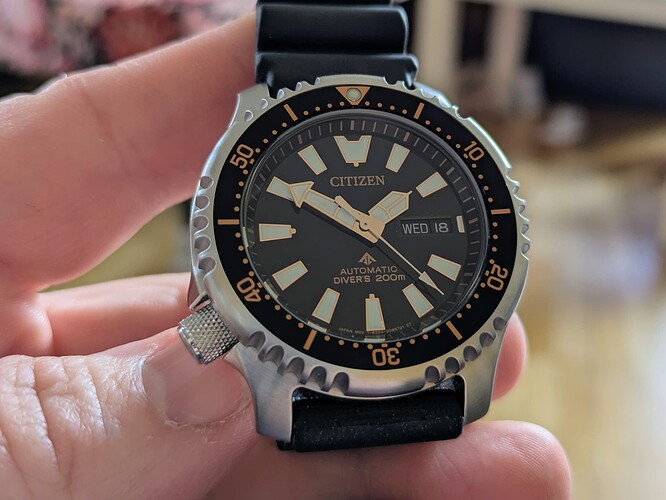 PXL_20260218_125014875~2