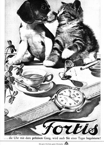 583340341_1274606188040285_5911681094861807222_n